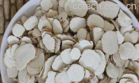 白芷的功效与作用 白芷的常见用法-0