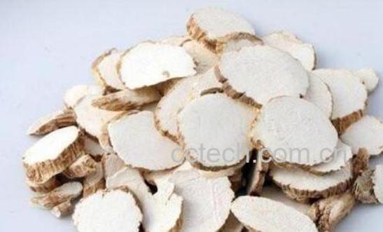 白芷泡水喝有什么功效-1