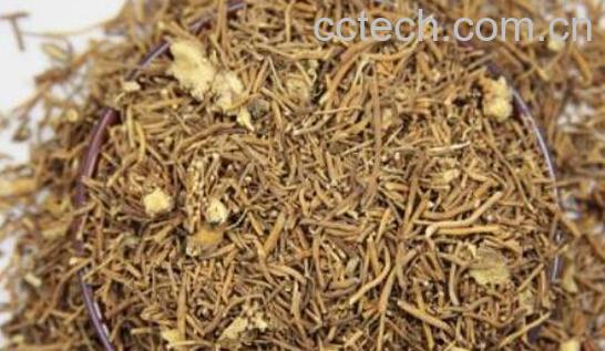 白薇的功效与作用及药用价值-1