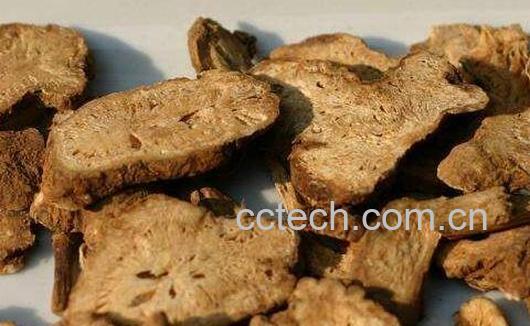 炒白术的功效与作用及药用价值-0