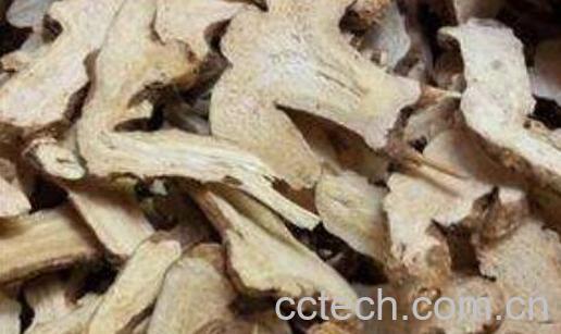 生白术和炒白术的区别-0