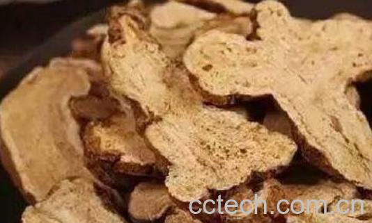 生白术和炒白术的区别-1