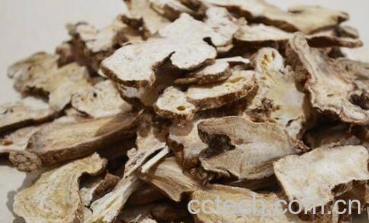 生白术的功效与作用 生白术的食用方法-1