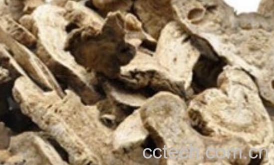 生白术的功效与作用 生白术的食用方法-0