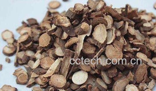 白芍和赤芍的区别-1