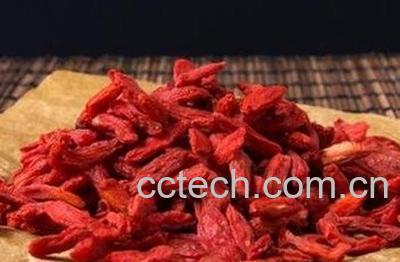  蒲公英加枸杞泡水的功效与作用-0