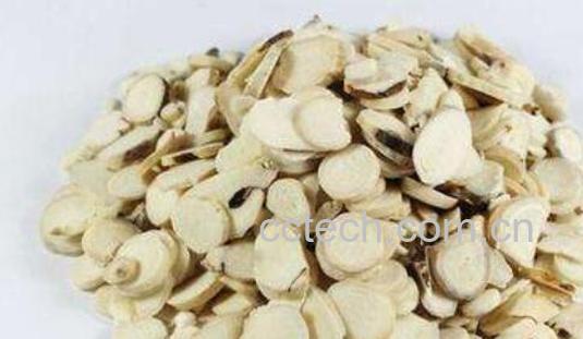 炒白芍的作用与功效-1