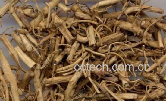 白前的功效与作用及食用方法-1