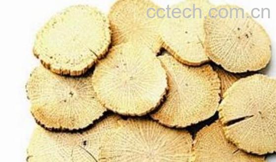 川木通的功效与作用及药用价值-1