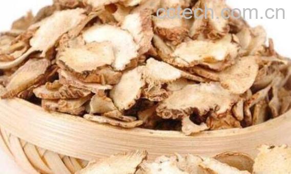 白芨的功效与作用 白芨的食用禁忌-0