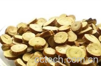 蒲英甘草蒲泡水公喝的功效和作用-0