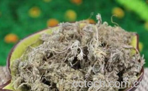 白蒿泡水喝的功效 白蒿泡水喝的禁忌-1