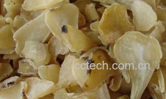 白附子的功效与作用 白附子的副作用-1