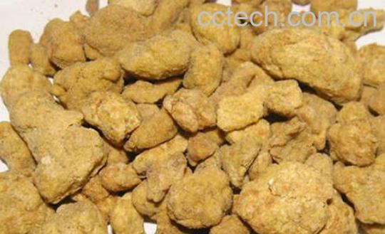 阿魏的功效与作用 阿魏是什么-0