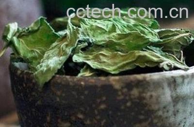 蒲公英洗脸有什么功效-1