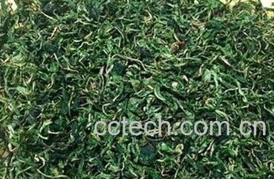 蒲公英治雀斑有效吗 -0