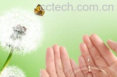  用蒲公英水洗脸的坏处-0