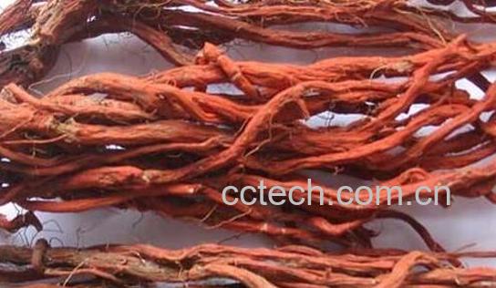 丹参红花泡酒的副作用-1