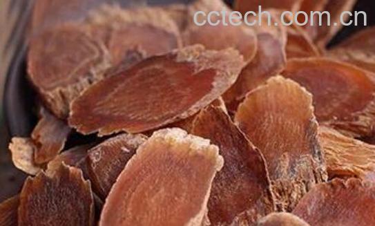 不适合吃红参的人群-1