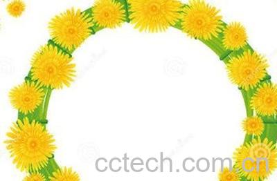 蒲公英熬水洗脸方法技巧-0