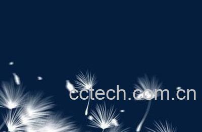 白色蒲公英有什么功效-1