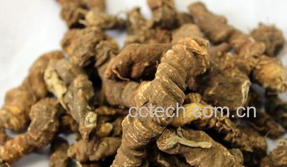 胡黄连的功效与作用及禁忌-1