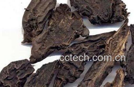 川乌的功效与作用及禁忌-1