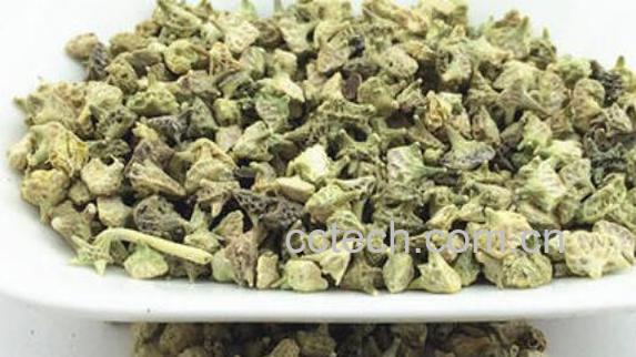 中药七厘子的功效与作用-0