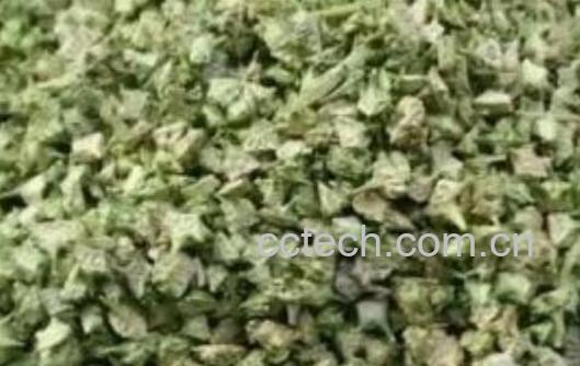 中药七厘子的功效与作用-1