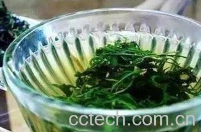  甘草与蒲公英的作用及禁忌-0