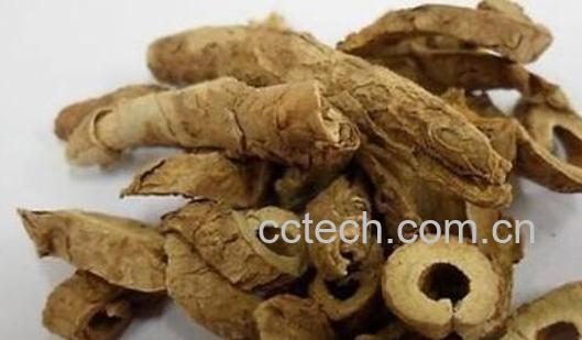 地骨皮的功效与作用有哪些-1