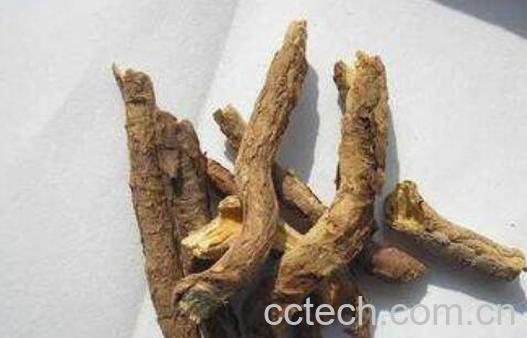 香加皮的功效与作用 香加皮的副作用与禁忌-0