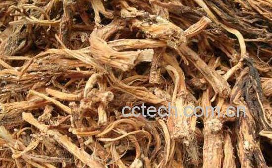 秦艽的功效与作用 秦艽的副作用与禁忌-0