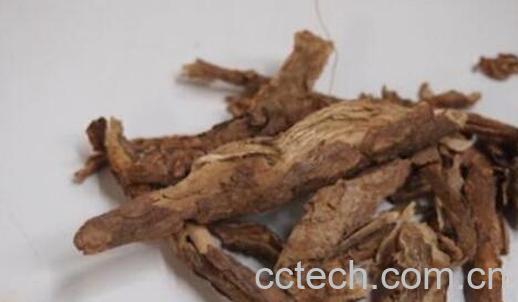 香加皮和五加皮的区别-1