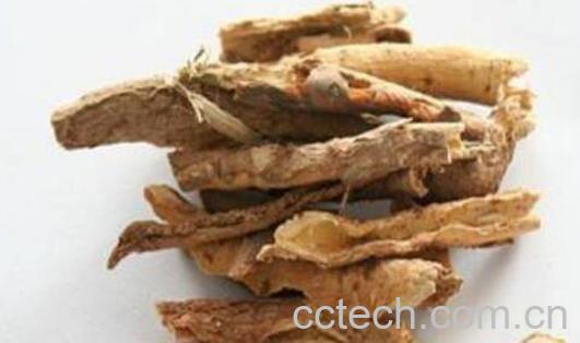 香加皮和五加皮的区别-0