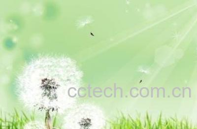  藏蒲公英的功效与作用 藏蒲公英的副作用-1