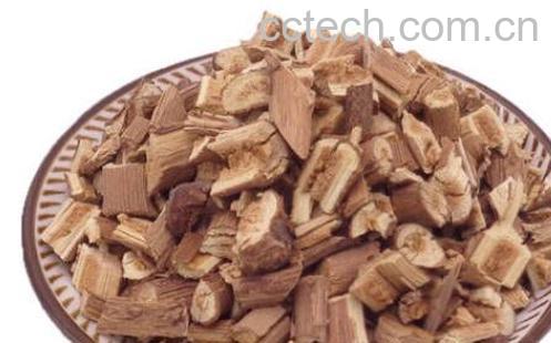 山葡萄根的功效与作用-1