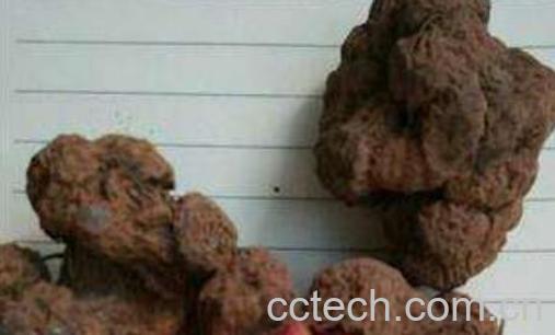 紫绒三七的功效与作用-0