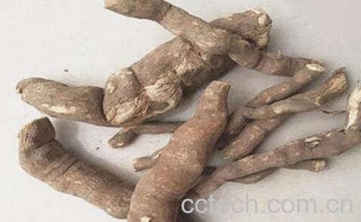 雪里开的功效与作用-0