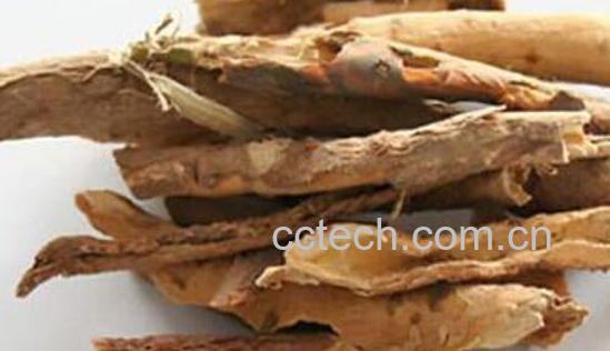 五加皮与刺五加区别-0