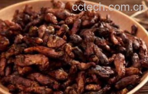 蜜冬花的功效与作用-1