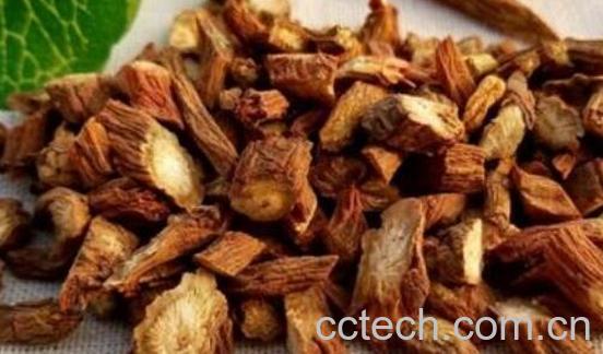 丹参的副作用及禁忌-0