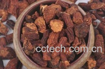 蒲公英根怎么炒 炒蒲公英根的功效-0