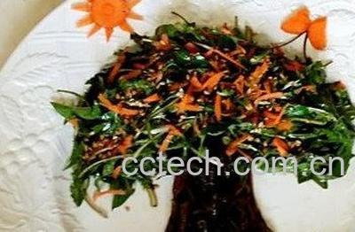  炒熟的蒲公英的功效与作用-1