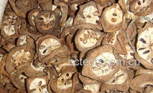 预知子的功效与作用-0