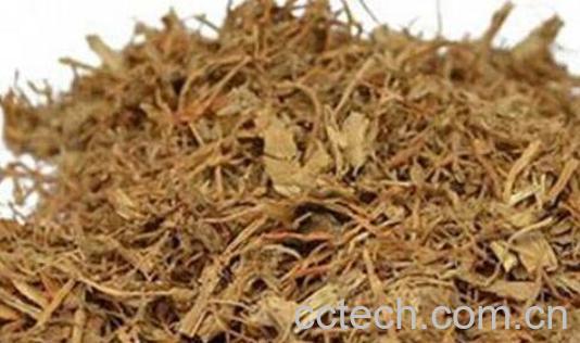 白鹤灵芝草的功效与作用-1