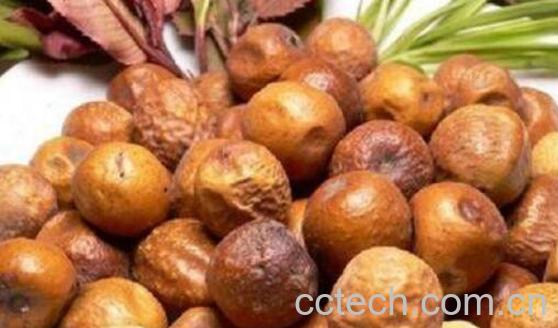 川楝子的功效与作用 川楝子的用法-1