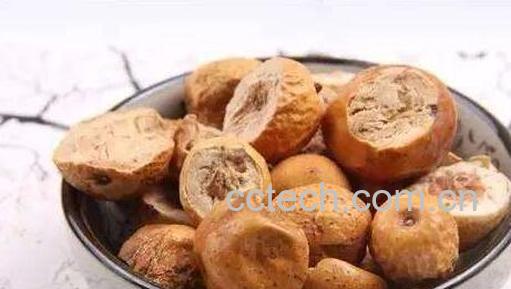 川楝子的功效与作用 川楝子的用法-0