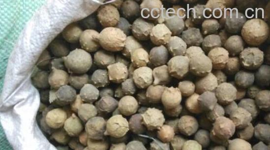 没食子的功效与作用-0