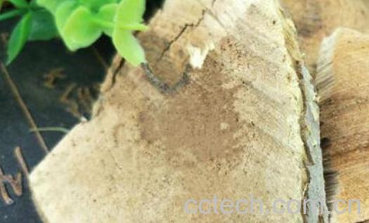 云实根的功效与作用-1